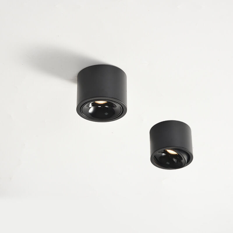 Lampe réglable Lumavision pour la lumière naturelle