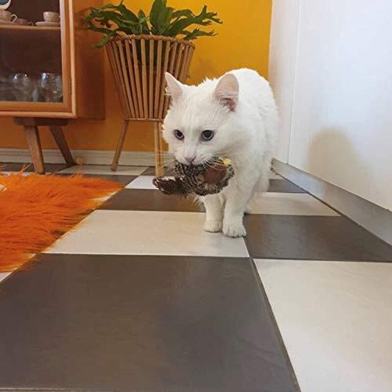 Jouet pour chat - Oiseau qui piaule en simulation