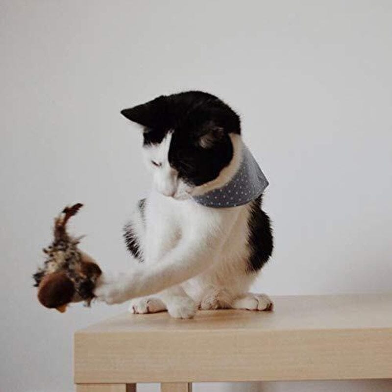 Jouet pour chat - Oiseau qui piaule en simulation