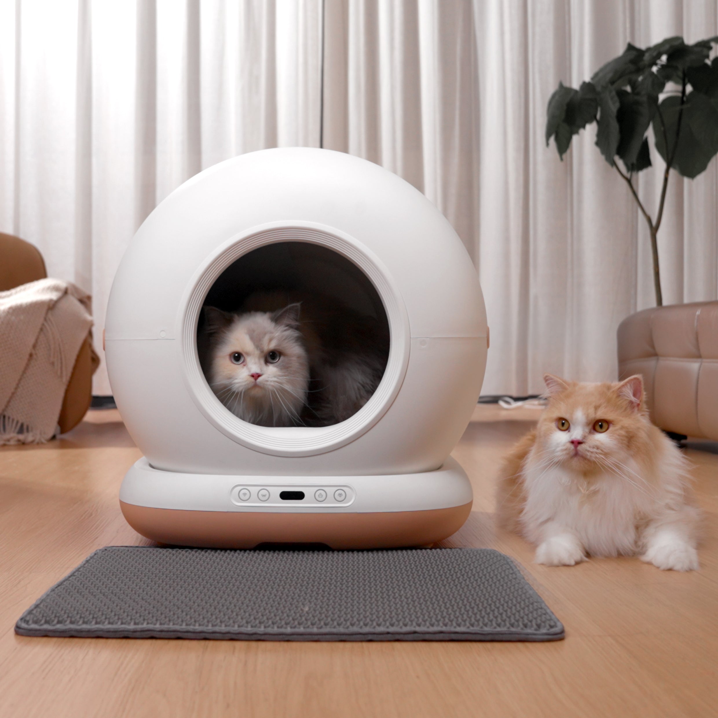 OrionCat - Système de litière intelligente pour chat