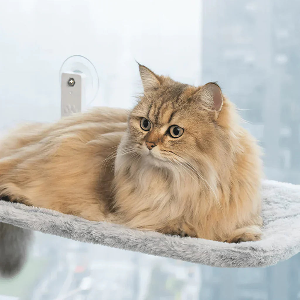 Hamac à fenêtre pliable pour chat avec housse amovible et support solide