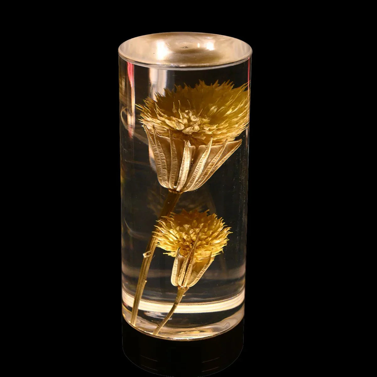 FloraGlow - Lampe de bureau LED avec socle cylindrique transparent rempli de fleurs