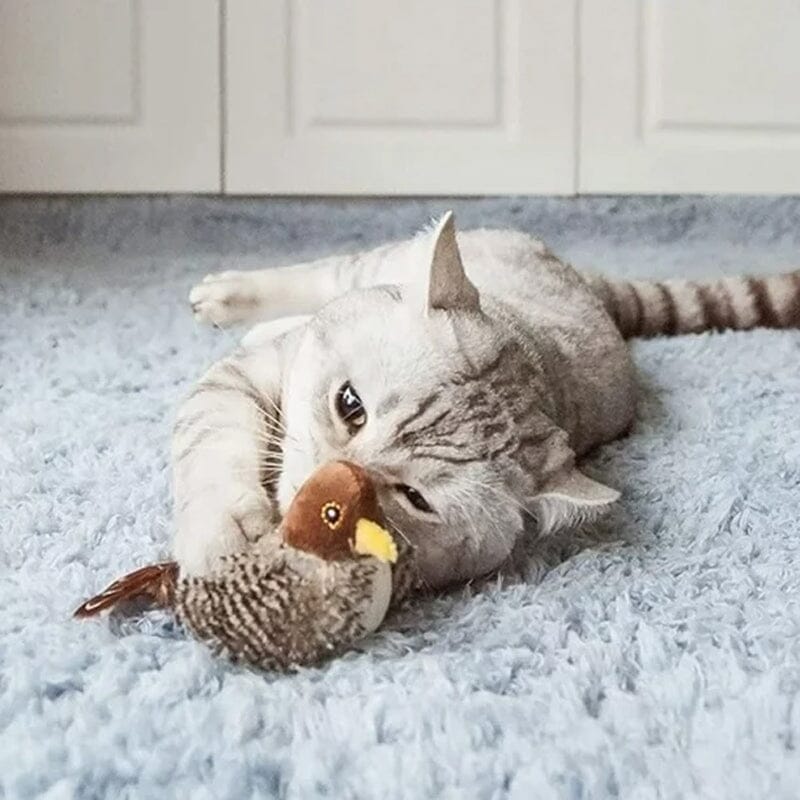 Jouet pour chat - Oiseau qui piaule en simulation