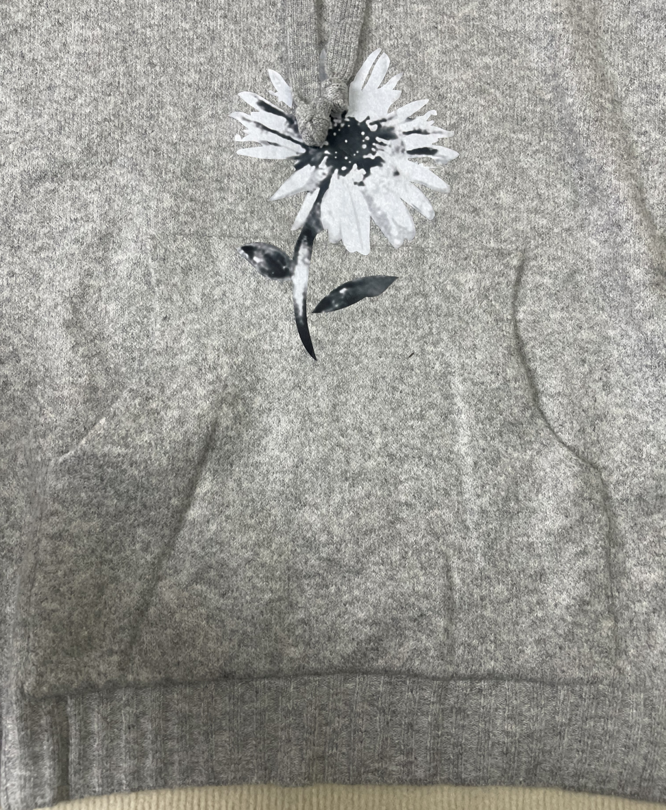 Tendance d'automne® Hoodie avec motif floral en gris