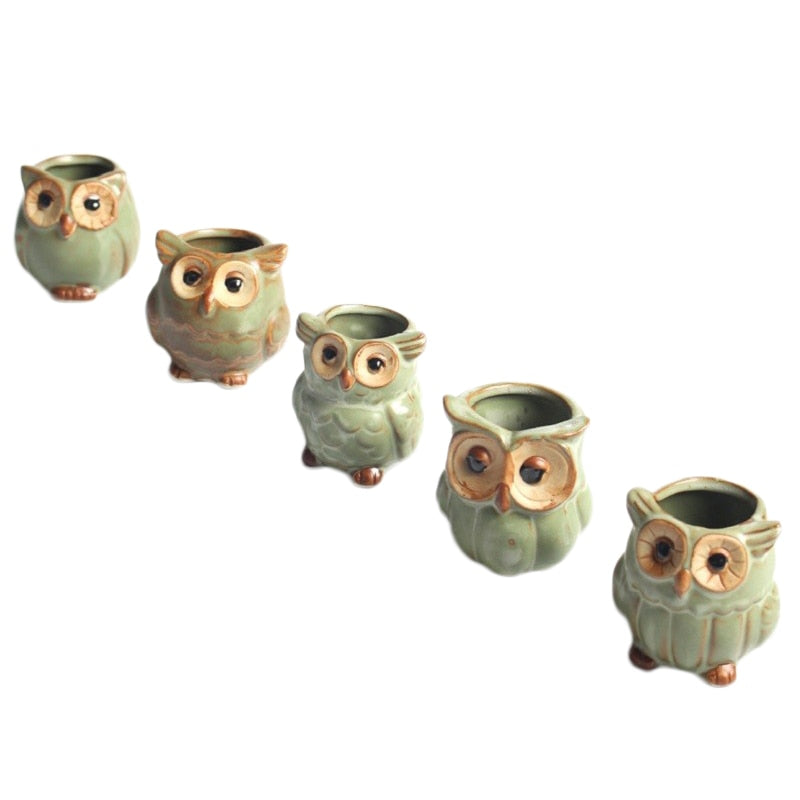 WhimsiOwl - Pot de succulentes en céramique moderne