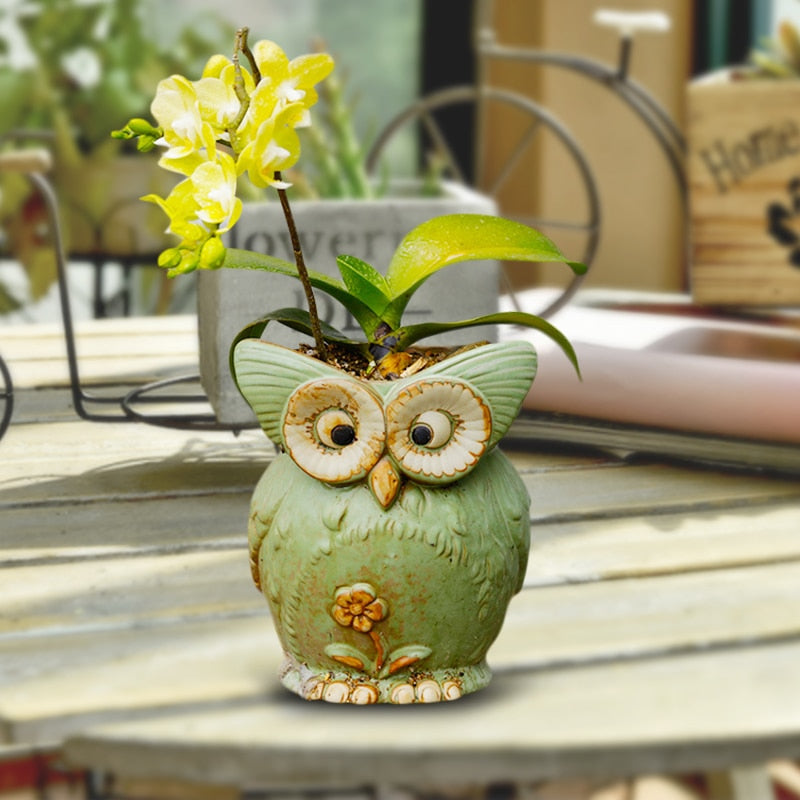 WhimsiOwl - Pot de succulentes en céramique moderne