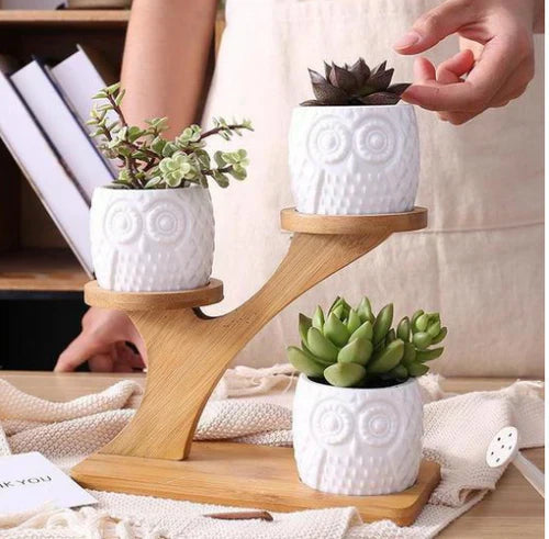 UgleTrio Support de Plante en Bois avec des Pots de Hibou Décoratifs pour une Utilisation Intérieure
