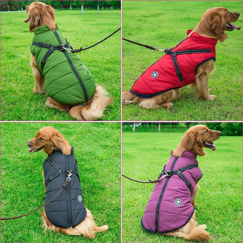 GoldPaw - Veste pour chien matelassée avec harnais intégré pour Golden Retrievers