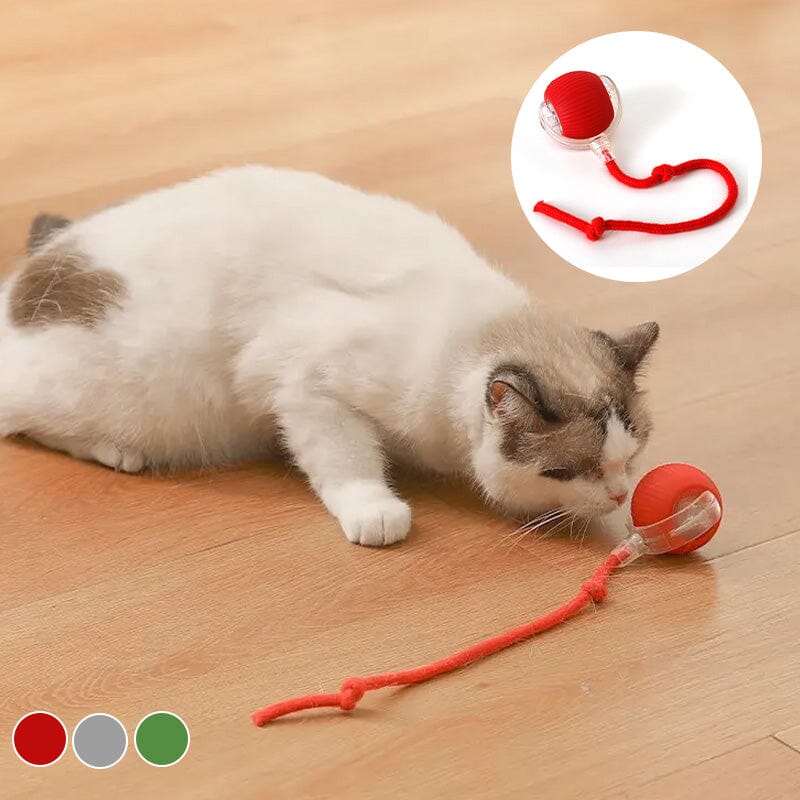 Balle de jeu interactif LED pour chats à l'intérieur