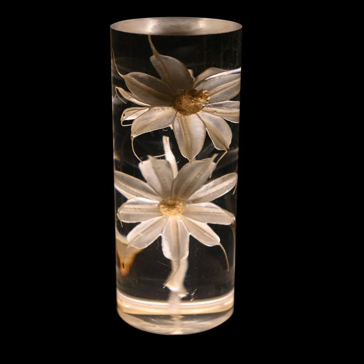 FloraGlow - Lampe de bureau LED avec socle cylindrique transparent rempli de fleurs