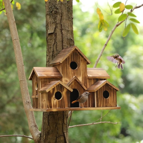 BirdHouse - Abri de nidification fonctionnel pour oiseaux