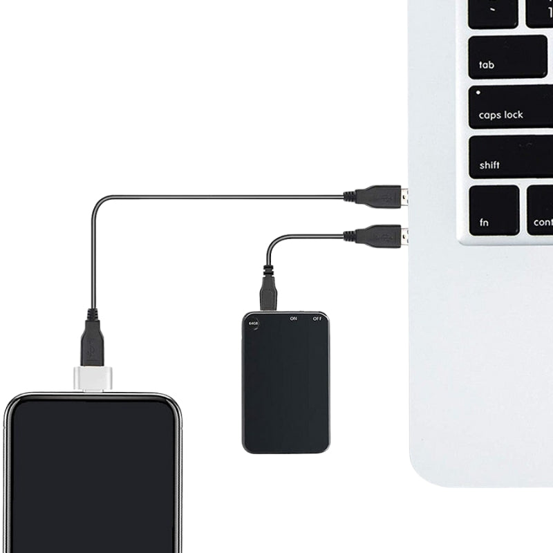 MiniVoice Contrôleur Vocal Compact Enregistreur