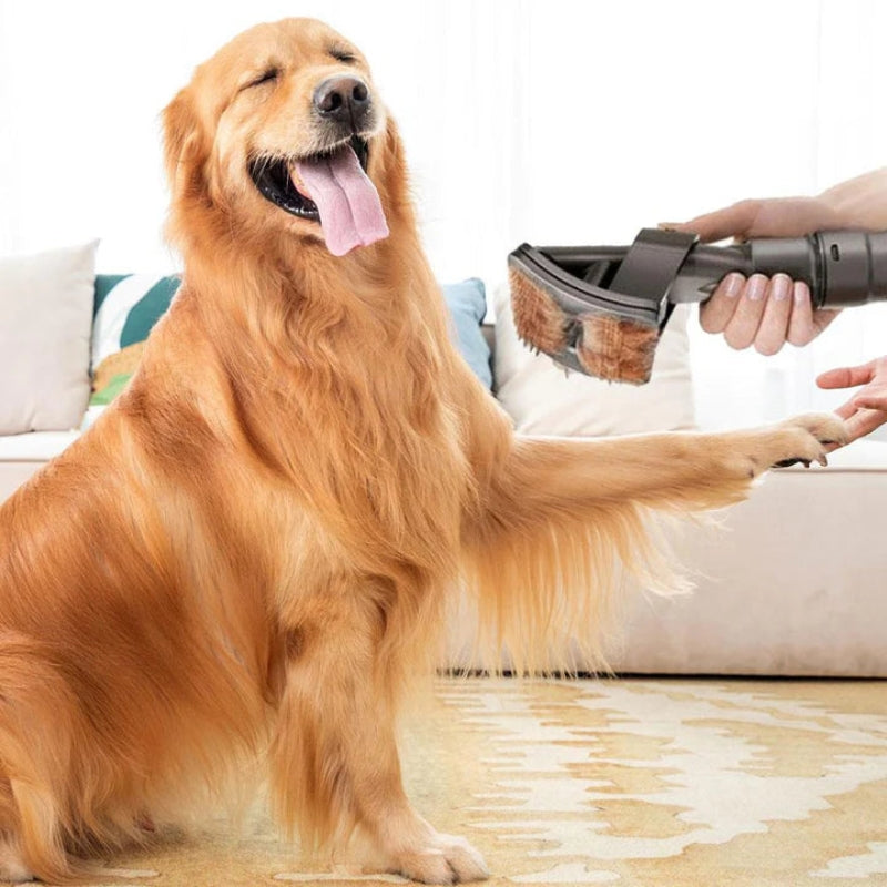 FurSweep - Aspirateur sans fil pour le toilettage des animaux de compagnie