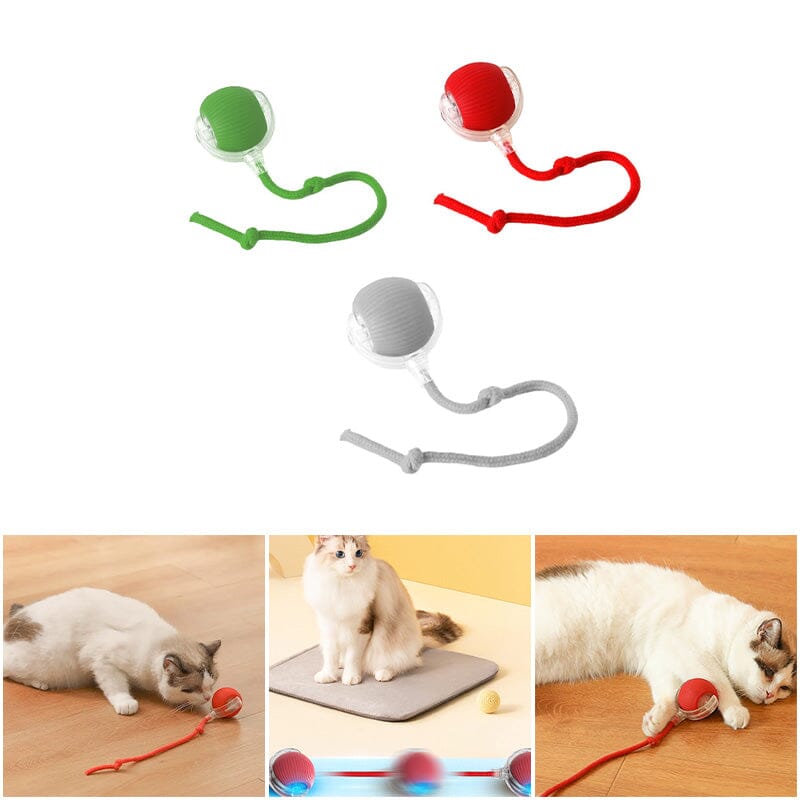 Balle de jeu interactif LED pour chats à l'intérieur