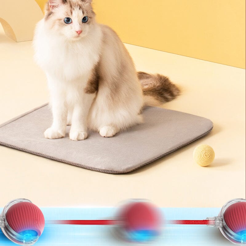 Balle de jeu interactif LED pour chats à l'intérieur