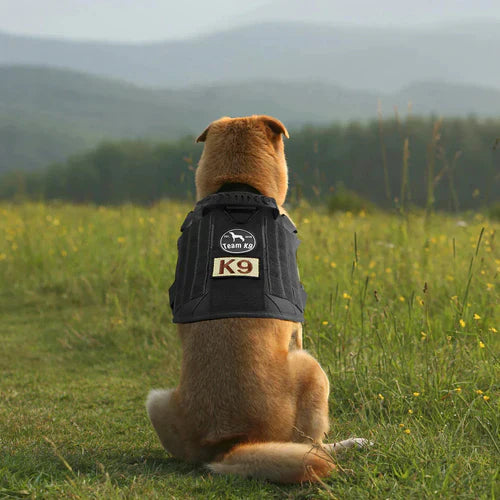 PawsSecur Taktisk Gilet pour Chiens – Harnais Anti-Tir avec Panneaux Ajustables