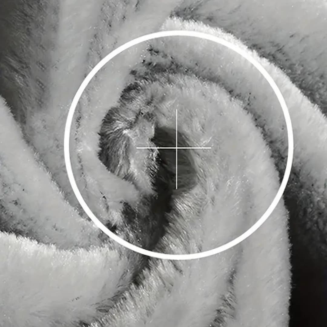 Veste zippée à capuche Francis