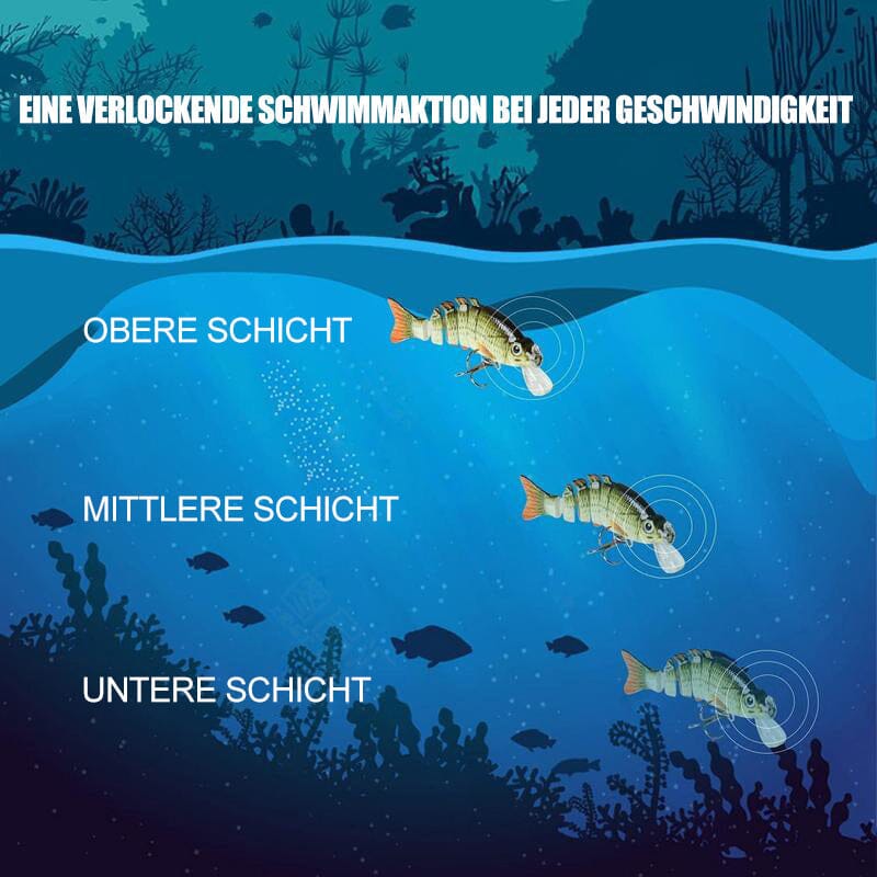 Petits leurres à poisson - Parfaits pour la pêche de précision