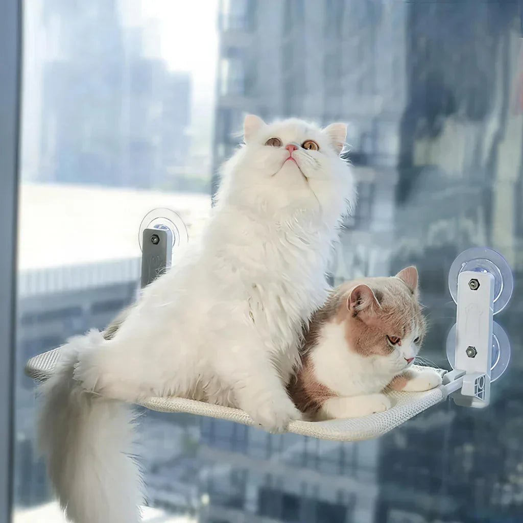 Hamac à fenêtre pliable pour chat avec housse amovible et support solide