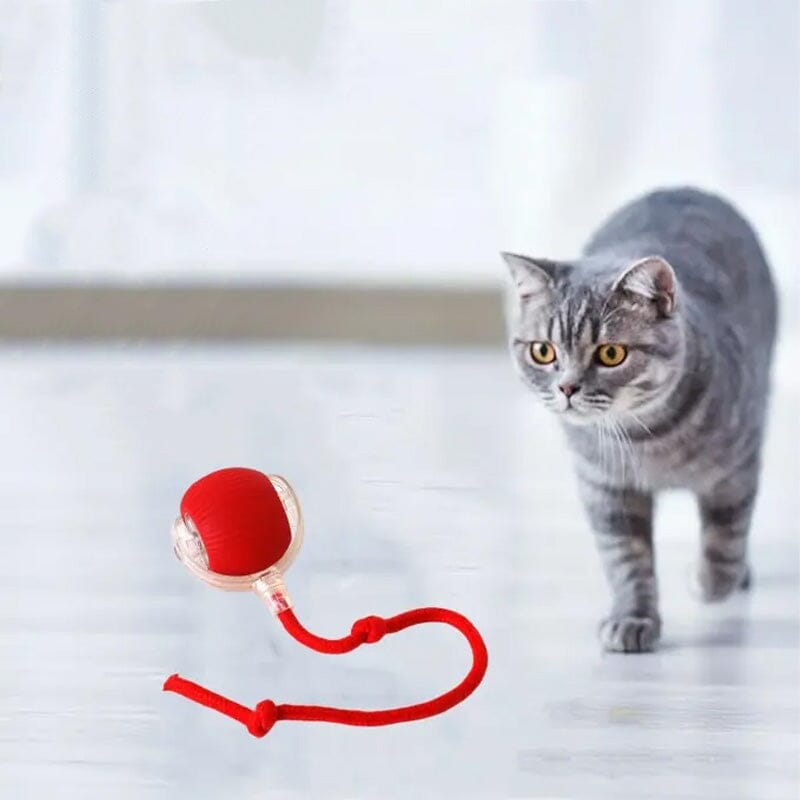 Balle de jeu interactif LED pour chats à l'intérieur