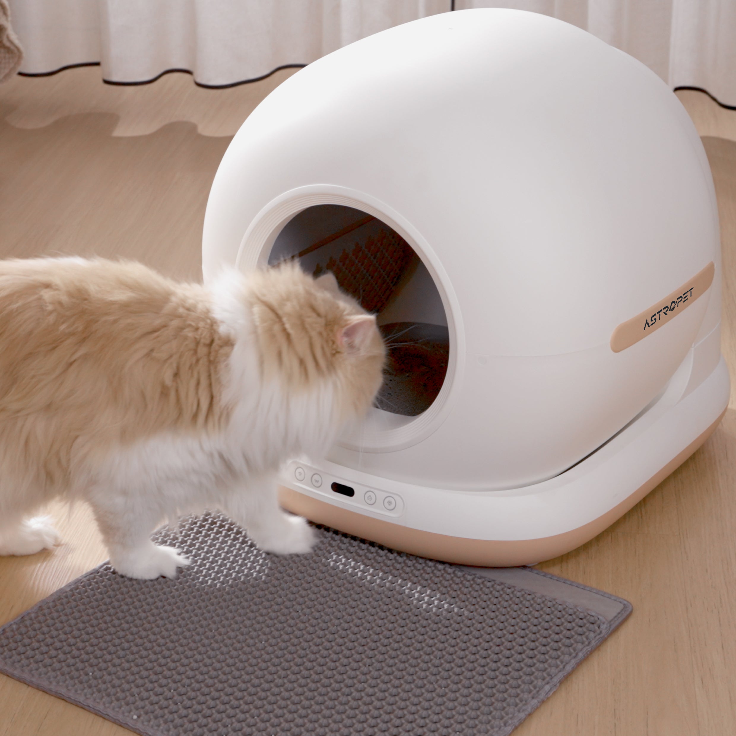 OrionCat - Système de litière intelligente pour chat