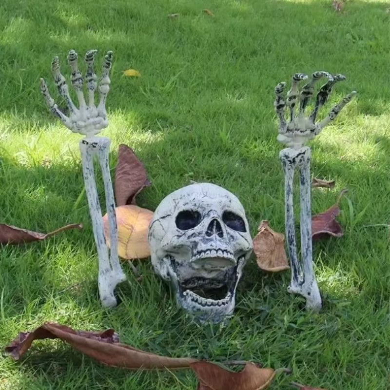 Décoration de squelette et crâne d'Halloween BoneChill – Ambiance effrayante pour fête et maison hantée