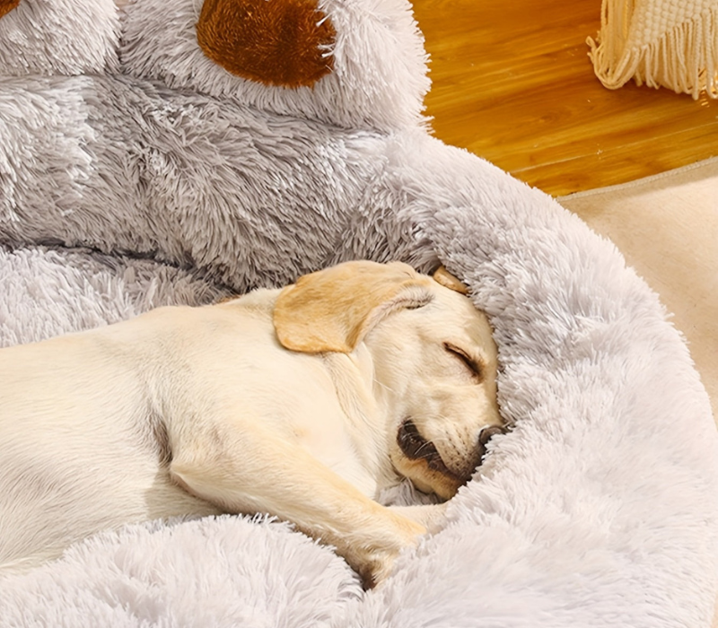 Lit pour animaux CozyPaw - Lavable avec design en forme de patte