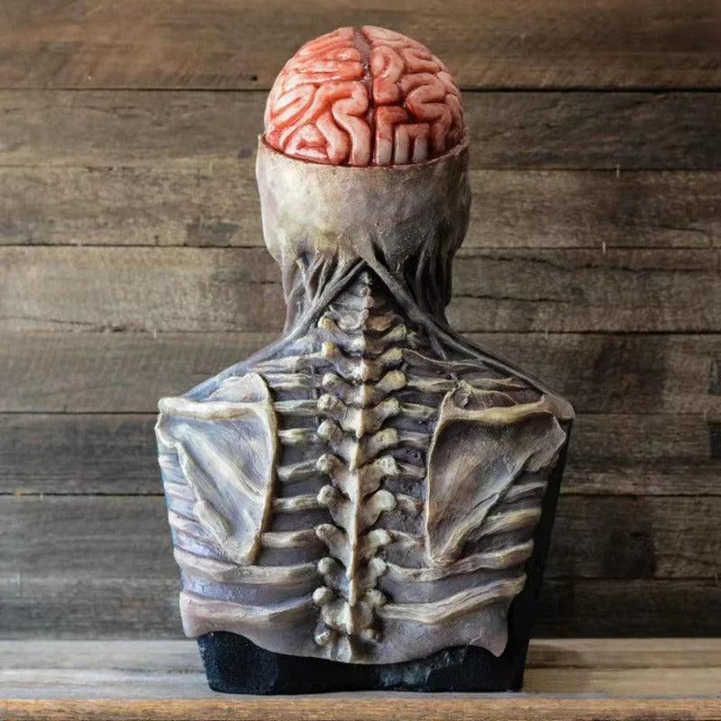 Ombre de la Mort – Costume de squelette ultraréaliste de Halloween