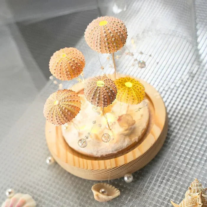 CoastalGlow - Lampe de nuit DIY Hérisson