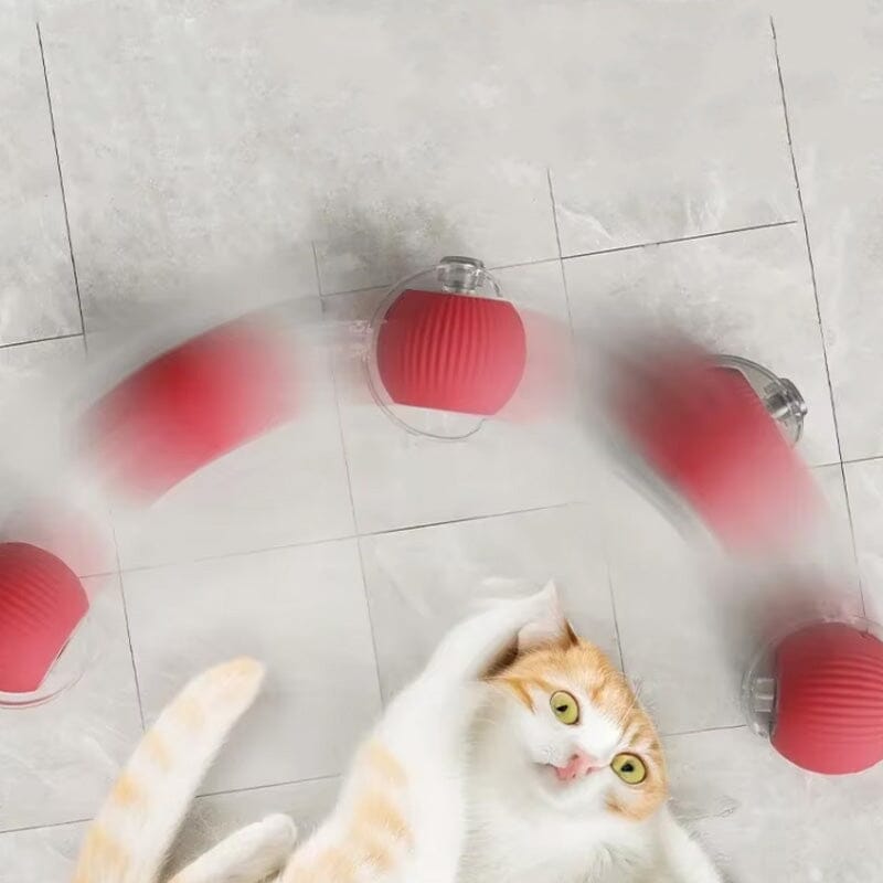 Balle de jeu interactif LED pour chats à l'intérieur