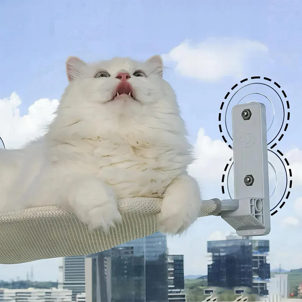 Hamac à fenêtre pliable pour chat avec housse amovible et support solide