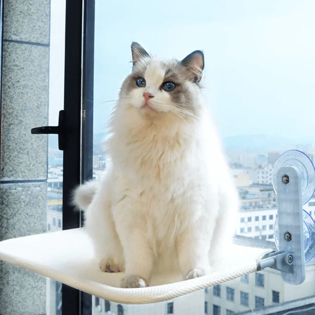 Hamac à fenêtre pliable pour chat avec housse amovible et support solide