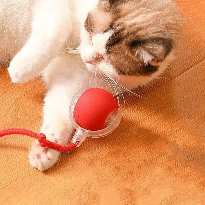 Balle de jeu interactif LED pour chats à l'intérieur