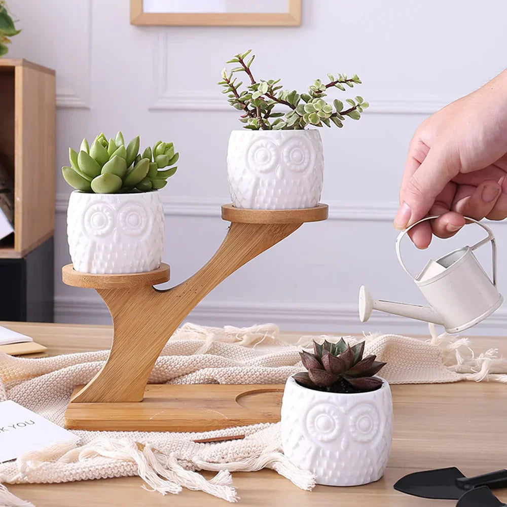UgleTrio Support de Plante en Bois avec des Pots de Hibou Décoratifs pour une Utilisation Intérieure