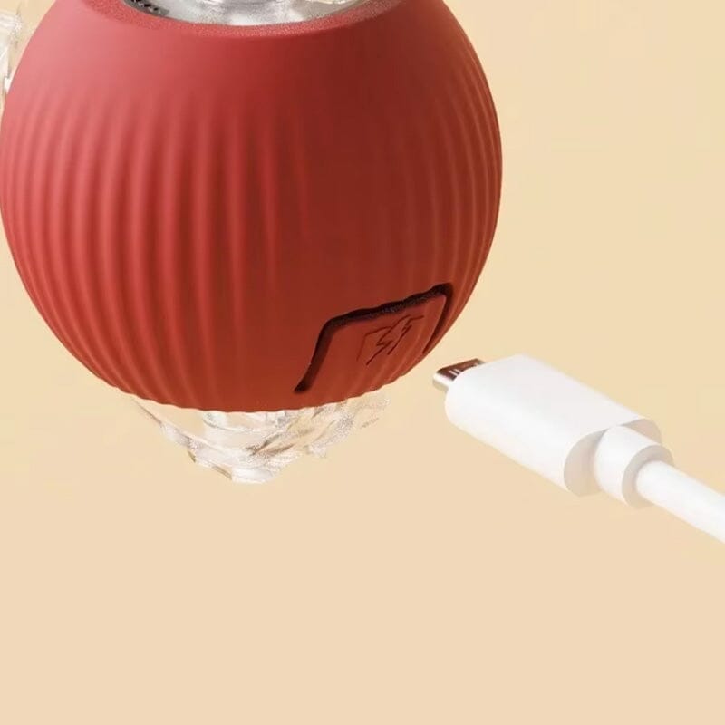 Balle de jeu interactif LED pour chats à l'intérieur