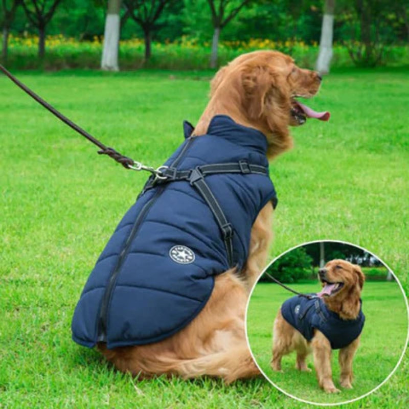 GoldPaw - Veste pour chien matelassée avec harnais intégré pour Golden Retrievers