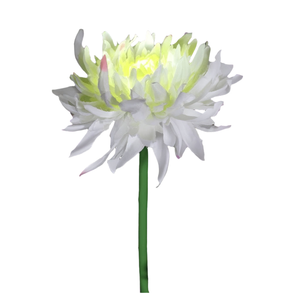 Lustre de jardin à énergie solaire BloomGlow – Décoration extérieure à LED changeant de couleur