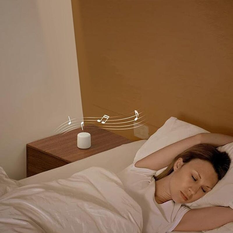 Haut-parleur Bluetooth portable