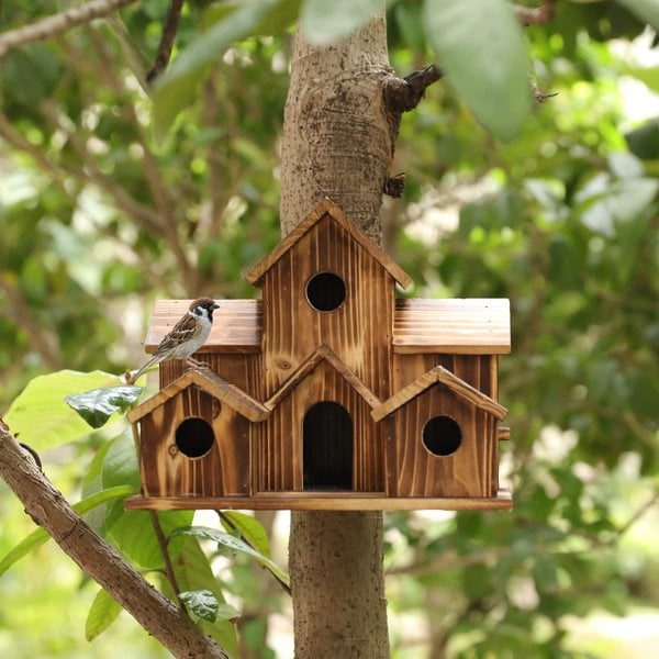 BirdHouse - Abri de nidification fonctionnel pour oiseaux