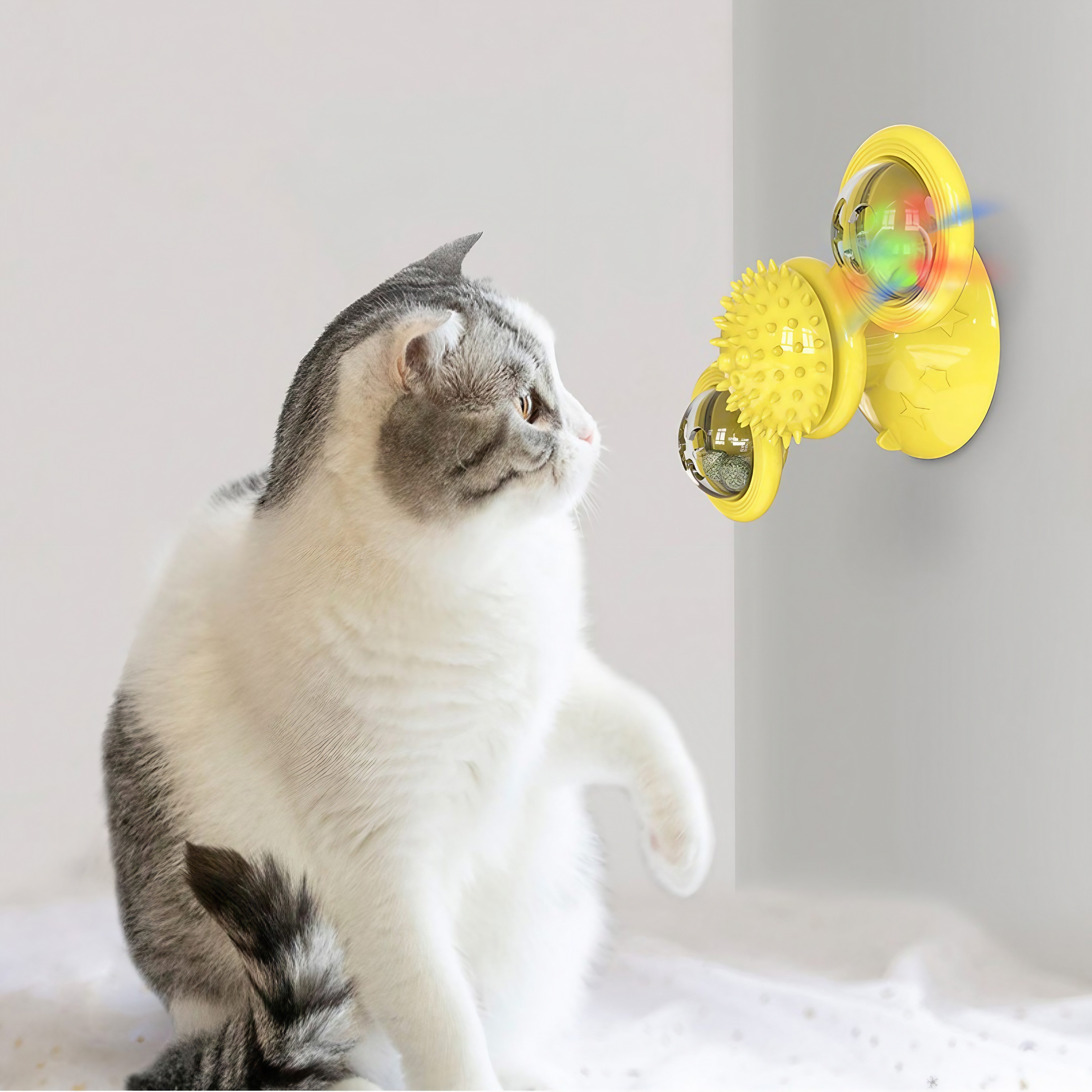 FriendlySpinnerDet jouet pour chats ultime pour s'amuser