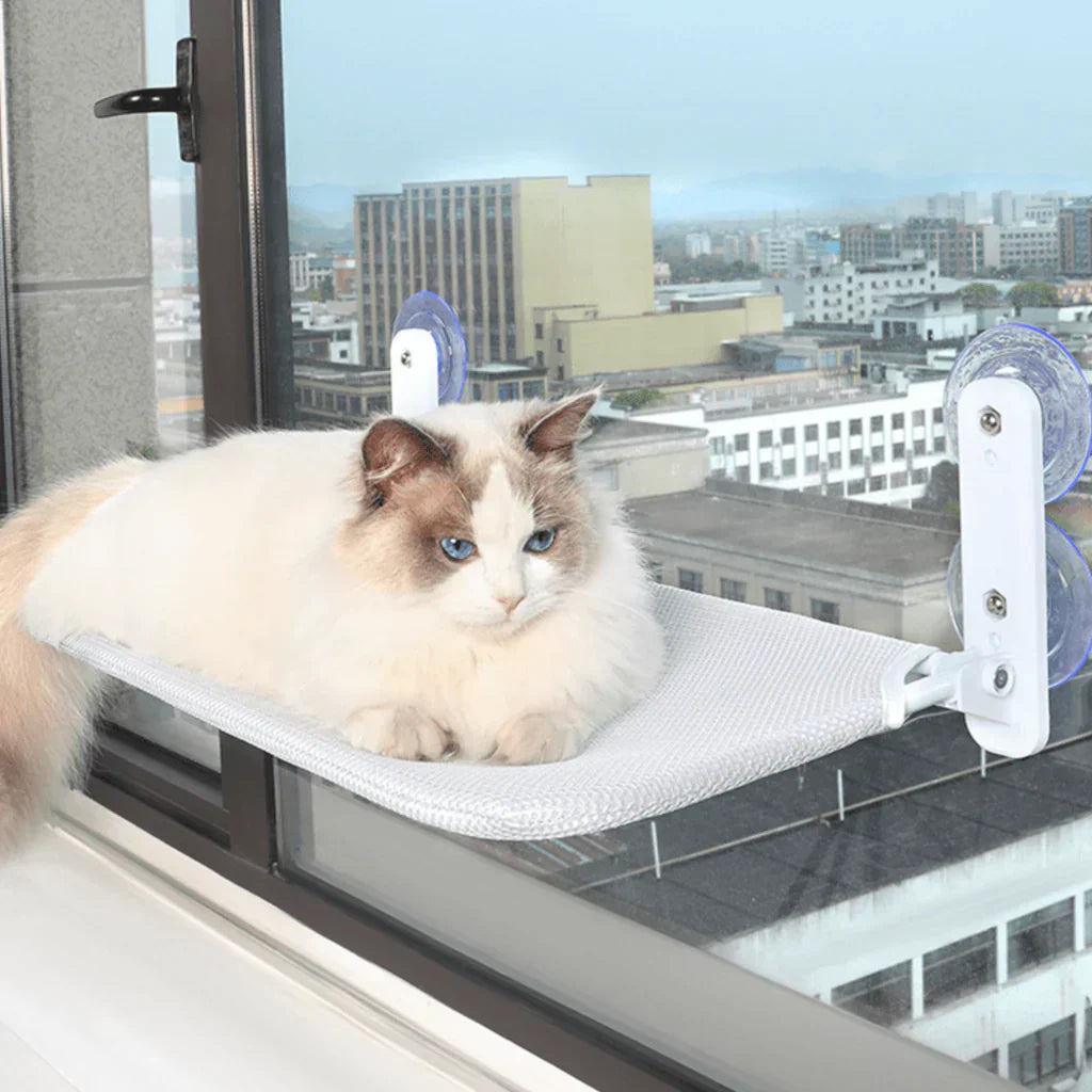 Hamac à fenêtre pliable pour chat avec housse amovible et support solide