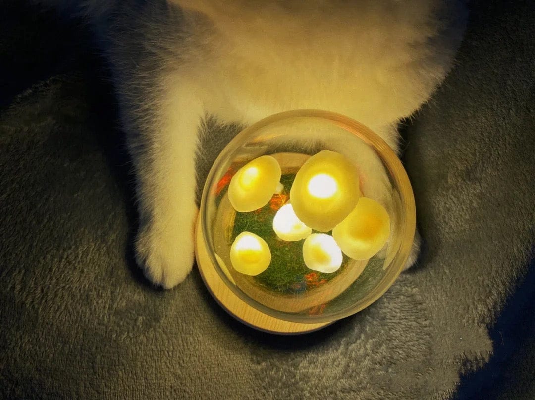 LumiTerra DIY Lumière en Verre avec Éponge