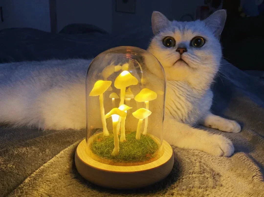 LumiTerra DIY Lumière en Verre avec Éponge