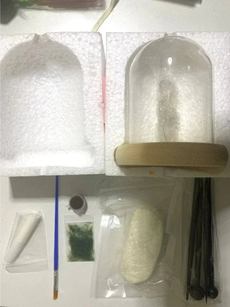 LumiTerra DIY Lumière en Verre avec Éponge