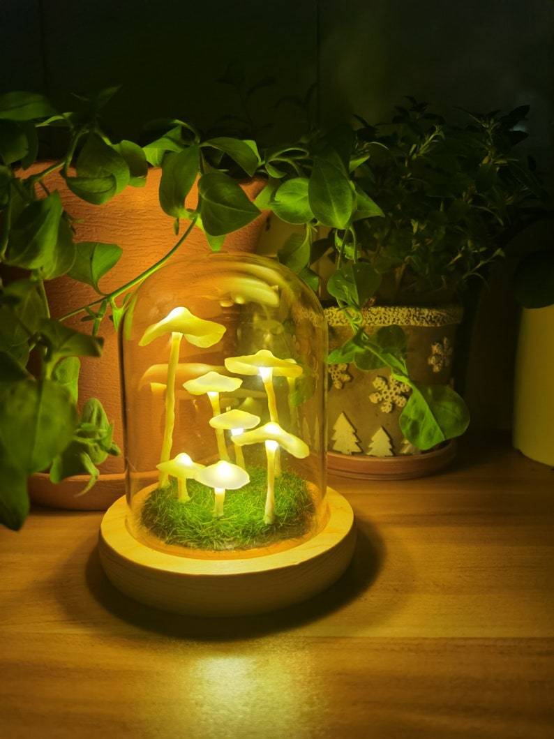 LumiTerra DIY Lumière en Verre avec Éponge