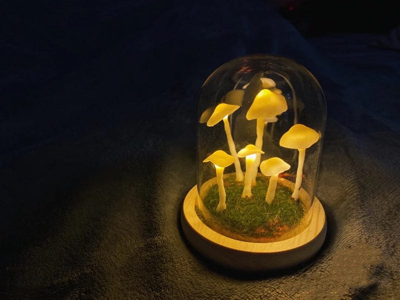 LumiTerra DIY Lumière en Verre avec Éponge