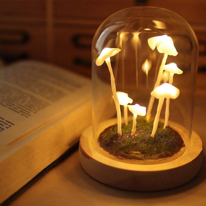 LumiTerra DIY Lumière en Verre avec Éponge