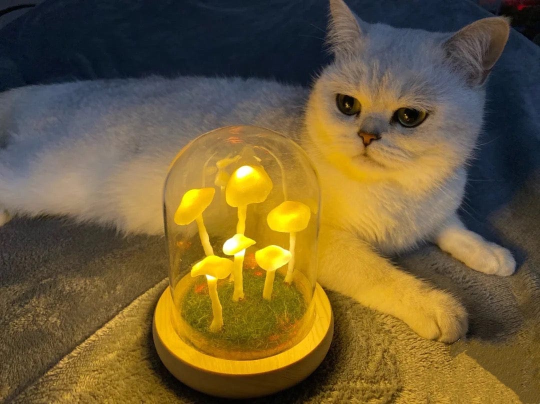 LumiTerra DIY Lumière en Verre avec Éponge