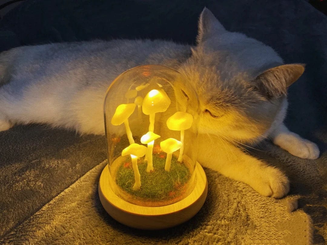 LumiTerra DIY Lumière en Verre avec Éponge