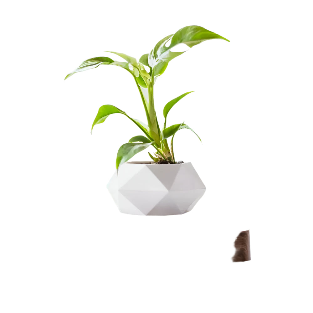 GeoSpin- Jardinière géométrique rotative